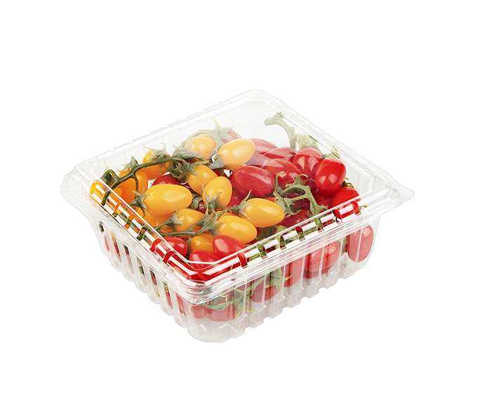 Tomato plastic container
